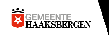 gemeente haaksbergen Flag